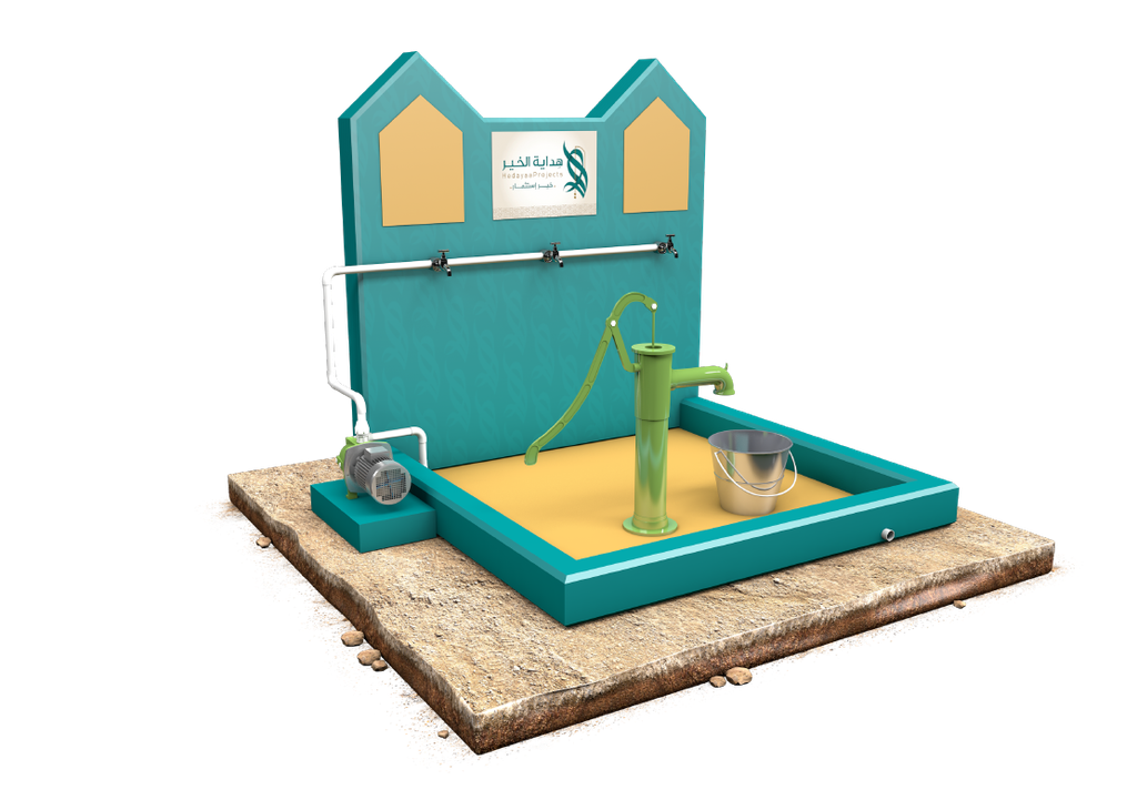  Deep Surface Well | With Manual and Electric Pump